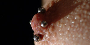 Brustwarzenpiercing